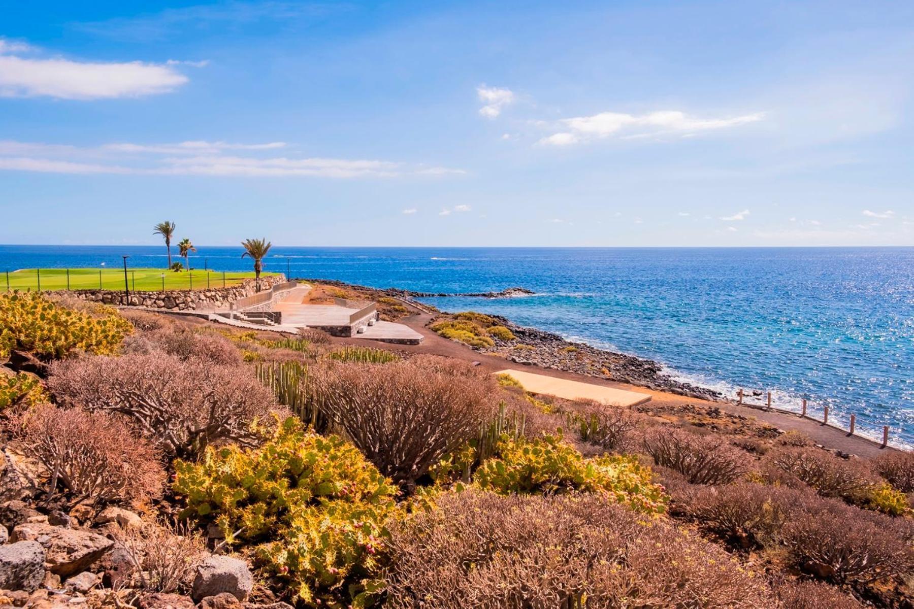 Oceanfront - Amarilla Breeze *