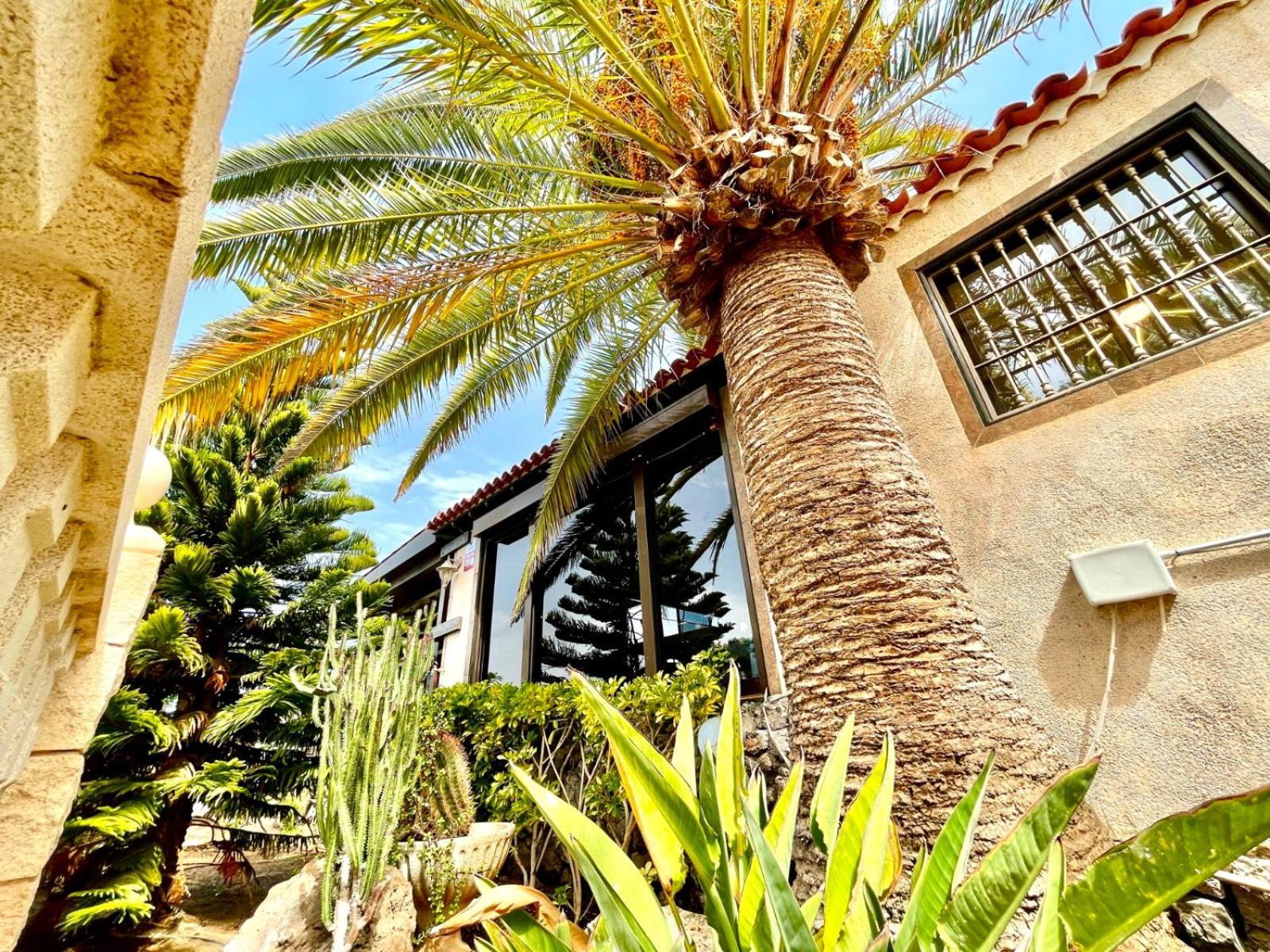 Holiday home Oceanfront - Amarilla Breeze